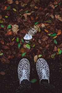 litter litter